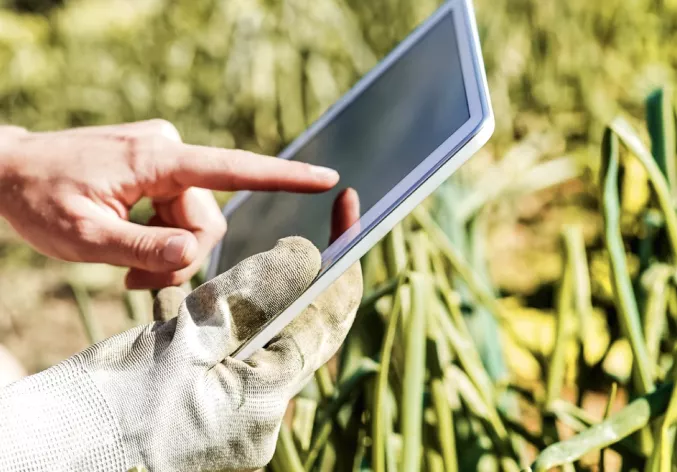 tablet in a field